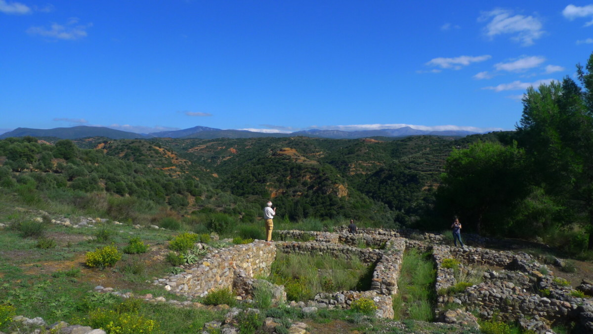 Early Mycenaean Settlement Architecture: Differentiation and Monumentality