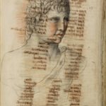 Sculture antiche nelle raccolte del tardo Cinquecento a Roma: i marmi dei Crescenzi e dei Savelli nella collezione Montalto