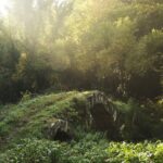 The Blera Archaeological Project 2026