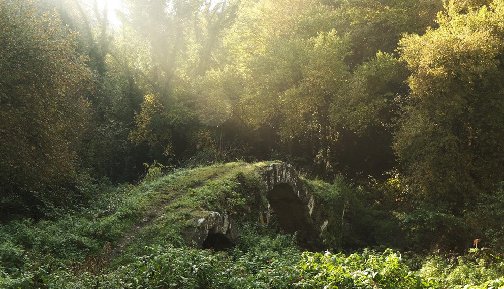 The Blera Archaeological Project 2026