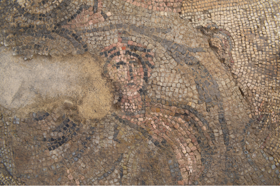 Il Signore del Tempo, un Senatore romano e il Granduca di Toscana: la meravigliosa storia del mosaico tardoantico di Vignale